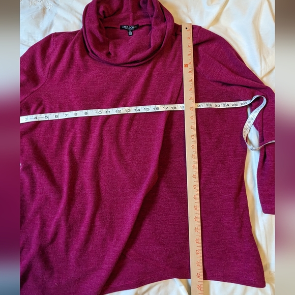 Linea Domani sz3X raspberry soft knit cross-over cowl neck sweater VGUC - Picture 6 of 6